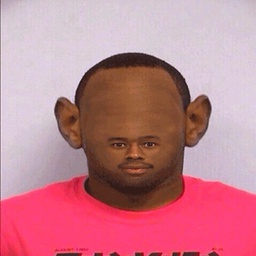 DaCord-DaCord_ModPack icon