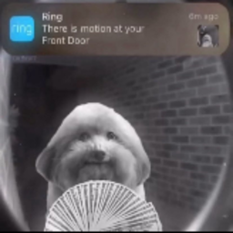 DamianVerse-TheRacists icon