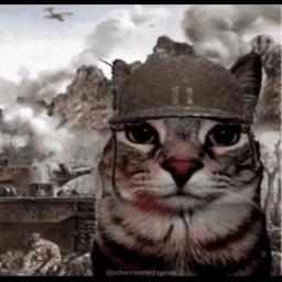 Danz_Company-HumildeCompany icon