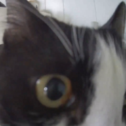 DarkSky-BagishModpack icon