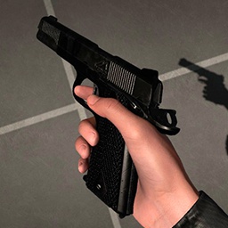 DarkSwitchPro-BLACK_1911 icon