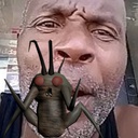 DearUncleChester-ChesterStoneHoardingBug icon