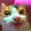 DebileCorp-mojupack icon