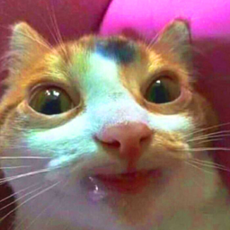 DebileCorp-mojupack icon