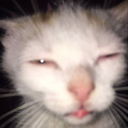 Decimuz-JactSuits icon