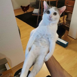 DefaulttEU-TV_Stuff icon