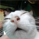 Defect_Crack-Cracked_Vibes icon