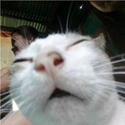 Defect_Crack-Cracked_Vibes icon