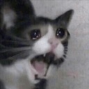 Degen-REPOMODPACKforDEGEN icon