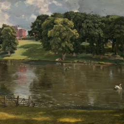 Degenarate-BasicsPremium icon