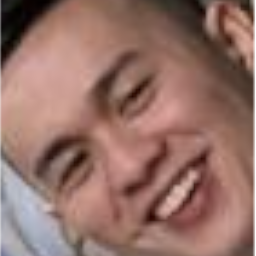 Deli-Completely_Normal_Hoarding_Bugs icon