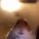 Delphi_Team-ApoFixxx icon