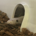 DemoTeam-DemoTeamModpack icon