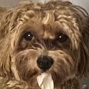 Demonengine-Boomboxkapez icon