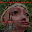 Derbbins-TheMemerHoarderBug icon