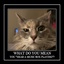 DesperateDinosaur-MotivationalCatPosters-1.0.0 icon