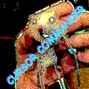 Dex-CursorCommander icon