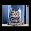 DiceLegion-DiceLegionLCModpack icon