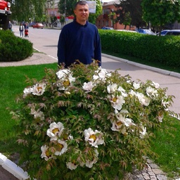 Diggaman-Diggaman icon