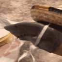 Dino_Tech-SkyShark_BoomBox icon