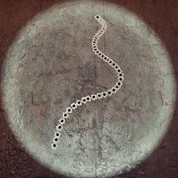 Dinorush-ExtraRecoilData icon