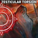 Dirtishurt-TesticularTorsion icon