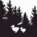 Dodo-DodoModpack icon