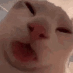 Dojhistan-jasquiror2essentials icon