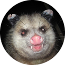 DolphinSoupGaming-DolphinSoupBois icon