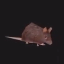 DomoModTeam-SpiningRat icon