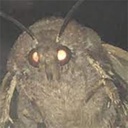 Domyno_squad-Moth_Suit icon