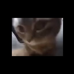 DongmuBot-ChangeOldBirdSfx icon