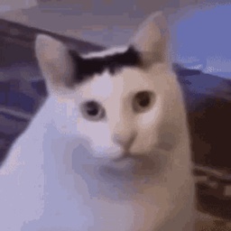 DougHRito-DougHRitoPack icon