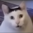 DougHRito-HuhCatValuable icon