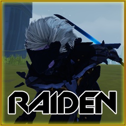 Dragonyck-RaidenMercSkin icon