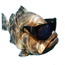 DreadfulBanana7-DreadfulModpackV2 icon