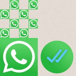 Drlostcause-Whatsapp_camo icon
