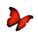 Droids-DroidPack icon