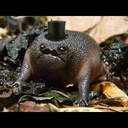 Drunger-Tahm_Kench_Model icon