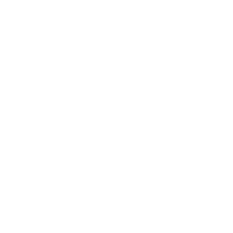 DualDragons-Dual_Dragons_Modpack icon