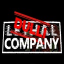 DulliCompany-DulliCompanyModPack icon