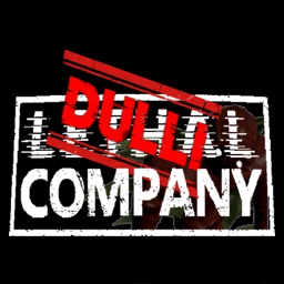 DulliCompany-DulliCompanyModPack icon