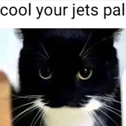 DungeonGremlins-DungeonMods icon