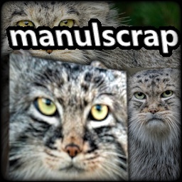 DuskWise-ManulScrap icon