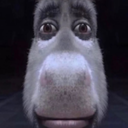 EManMods-StupidPics icon