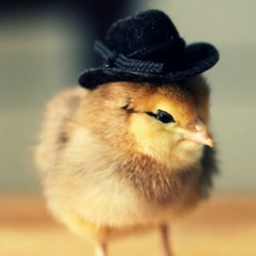 EasyMod-EasyModsForFriends icon