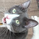 Eberk-Genesis-2.6.0 icon