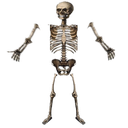 Ebula_gng-Scary_Company_Intro_fix icon