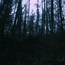 EchoesOfBunglas-Grungeheim icon