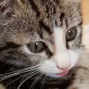 Ecluvost-CasualEnhancement icon